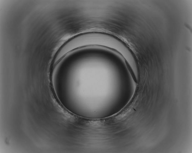 X0000091211422200708301418