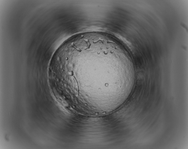 X0000091211423200708301418