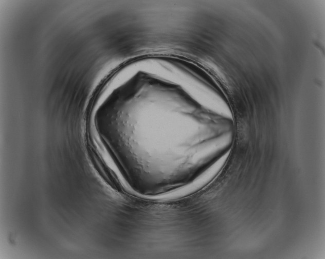 X0000091211424200708301418