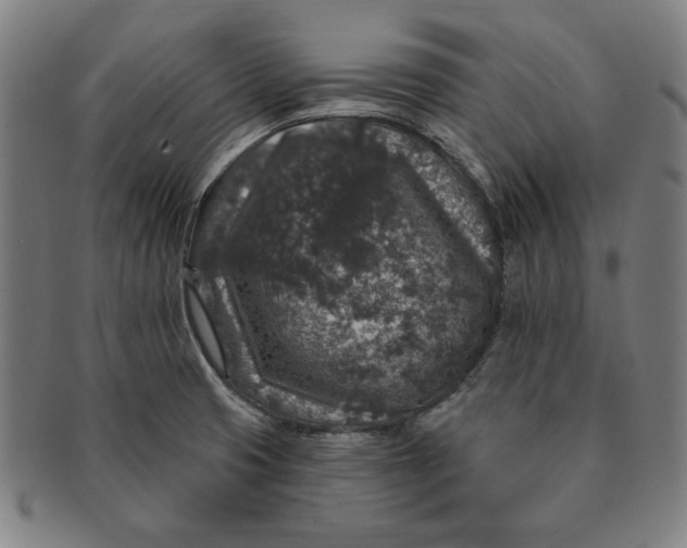 X0000091211425200708301418