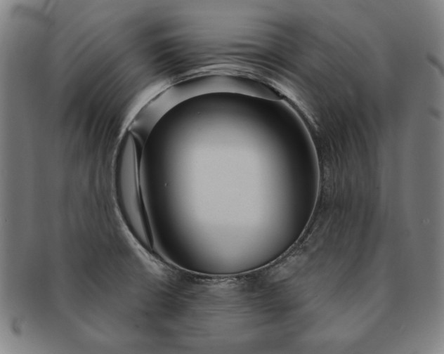 X0000091211426200708301418