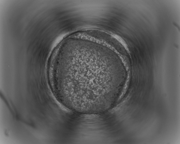 X0000091211429200708301418