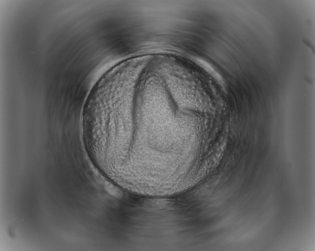 X0000091211431200708301418