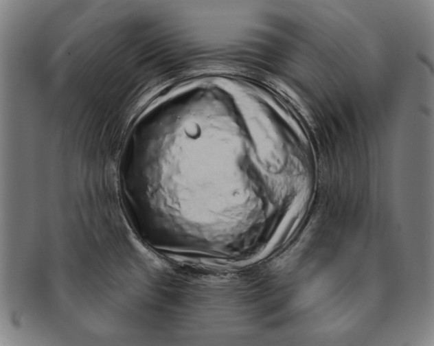 X0000091211433200708301418