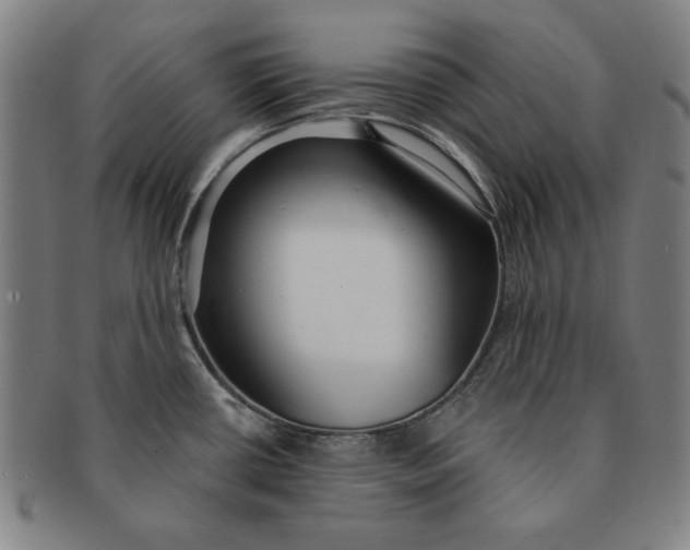 X0000091211434200708301418