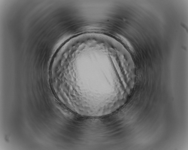 X0000091211435200708301418