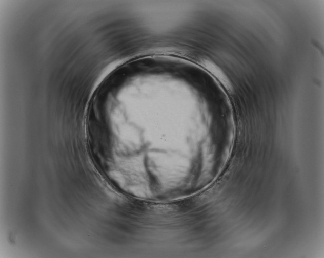 X0000091211436200708301418