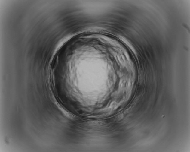 X0000091211437200708301418