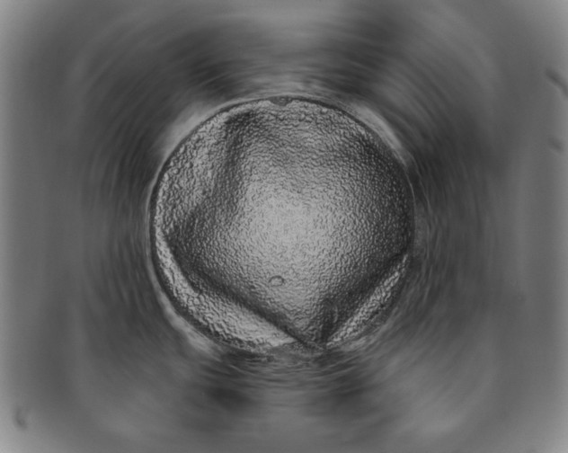 X0000091211439200708301418