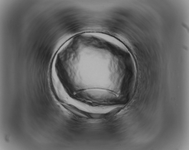 X0000091211440200708301418