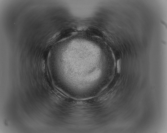 X0000091211443200708301417