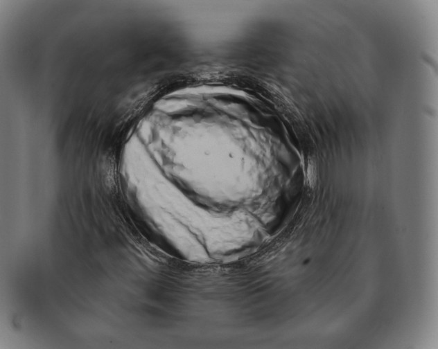 X0000091211444200708301417