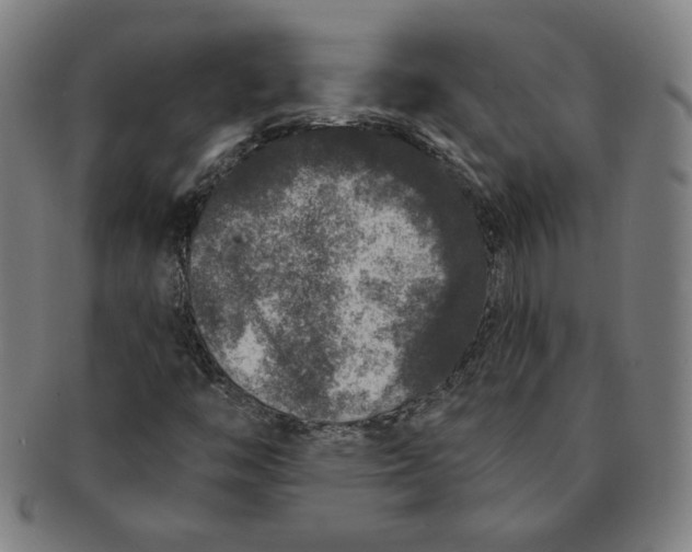 X0000091211446200708301417