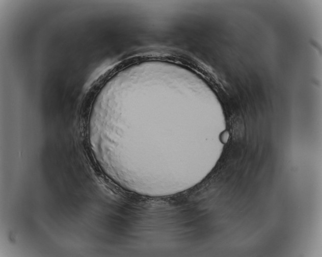 X0000091211448200708301417