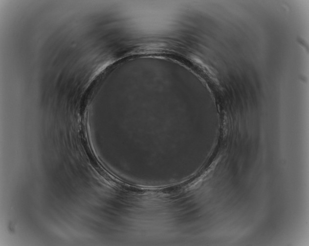 X0000091211449200708301417