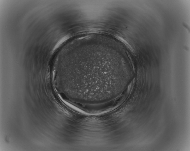 X0000091211450200708301417