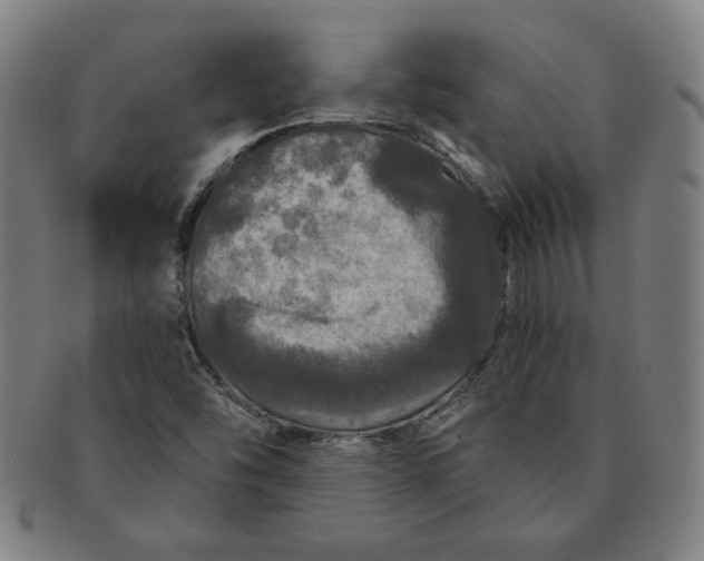 X0000091211454200708301417