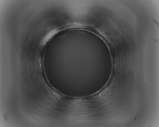 X0000091211455200708301417