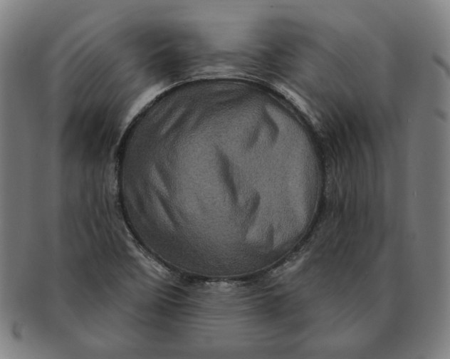 X0000091211458200708301417