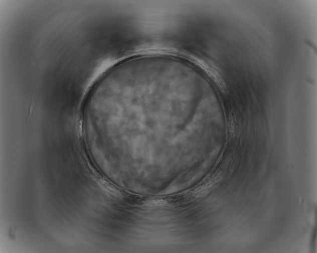 X0000091211462200708301417