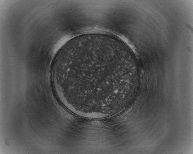 X0000091211463200708301417