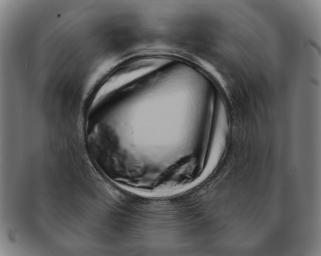 X0000091211464200708301417