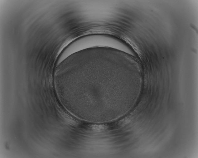 X0000091211465200708301417