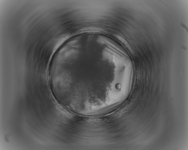 X0000091211466200708301417