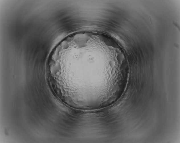 X0000091211467200708301417