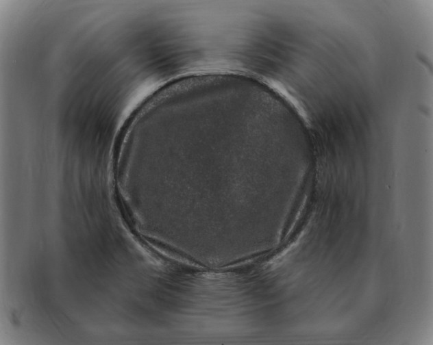 X0000091211469200708301417