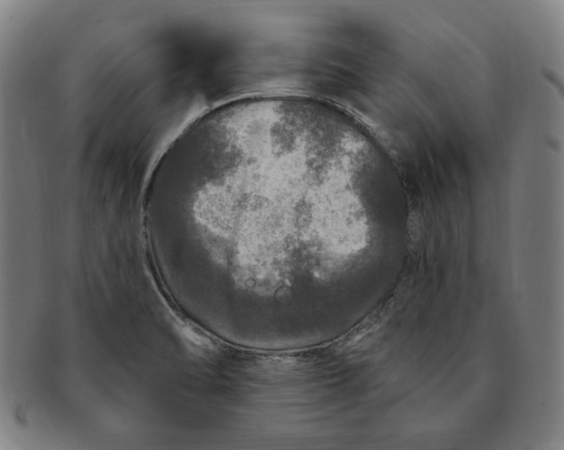 X0000091211470200708301417