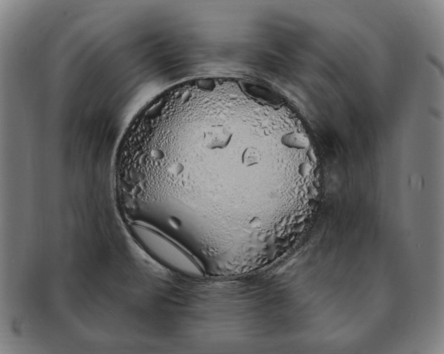 X0000091211471200708301417