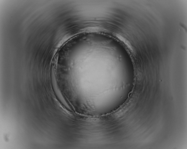 X0000091211473200708301417