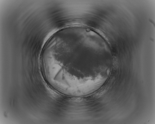 X0000091211474200708301417