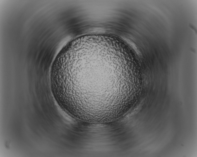 X0000091211475200708301417