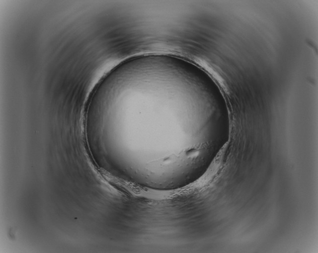 X0000091211477200708301417