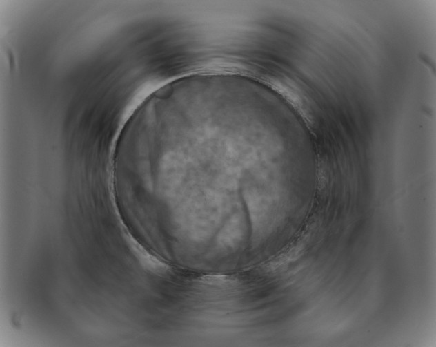 X0000091211478200708301417