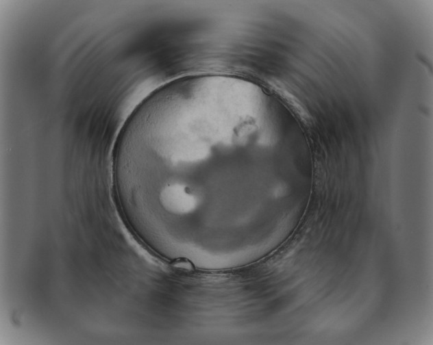 X0000091211479200708301417