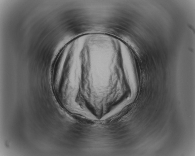 X0000091211480200708301417