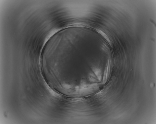 X0000091211482200708301417