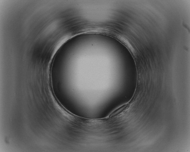 X0000091211483200708301417