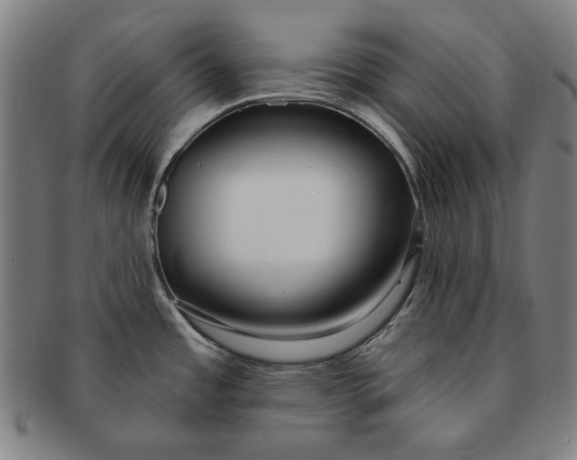 X0000091211485200708301417