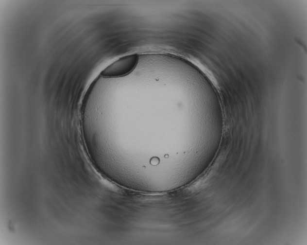 X0000091211486200708301417