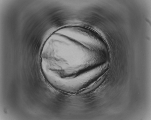 X0000091211488200708301417