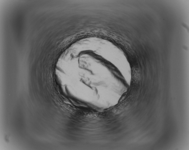 X0000091211489200708301416