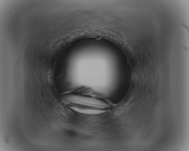 X0000091211490200708301416