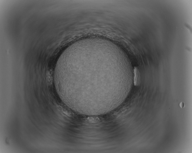 X0000091211491200708301416