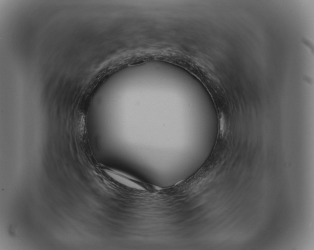 X0000091211492200708301416