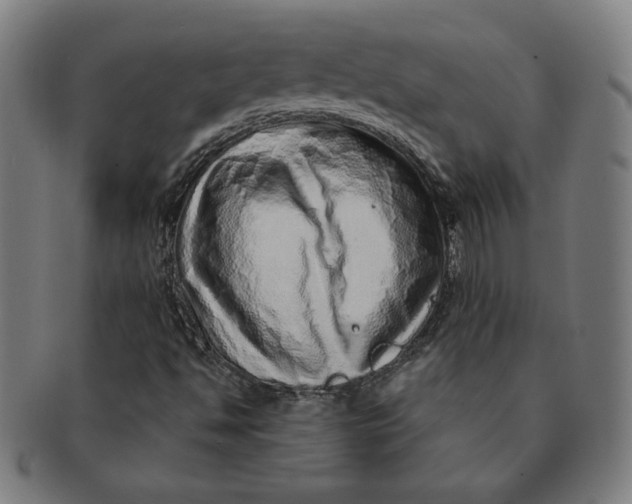 X0000091211494200708301416