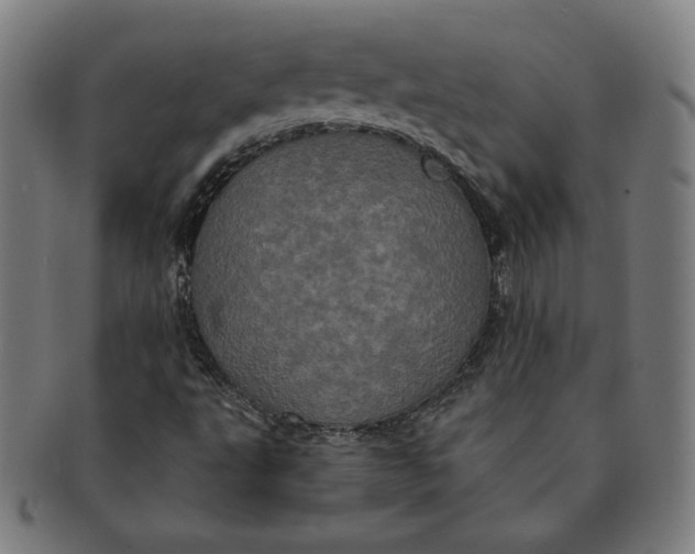 X0000091211495200708301416